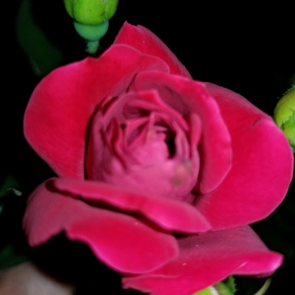 mmvm310